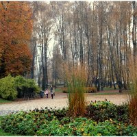 Парк оенью :: Aleksandr Gal