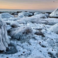 зимний берег моря :: Ольга Косачова
