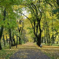 Картинки осени :: Рита Симонова