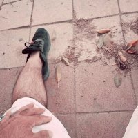 13  ОПЕН (628) :: OPEN WAYS ALL