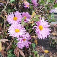 ,,, :: Сергей Тимоновский