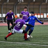 Защита. :: Наталья Вязигина