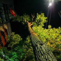 АЛМААТИНСКИЙ СТРИТ :: HART BAD