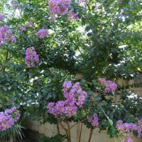 *** :: СЕРГЕЙ ФИЛОЧКИН *** :: СЕРГЕЙ ФИЛОЧКИН