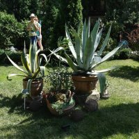 *** :: СЕРГЕЙ ФИЛОЧКИН