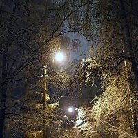 природа шепчет :: Олег Лукьянов природа шепчет :: Олег Лукьянов