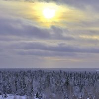 Белое безмолвие. :: Владимир Мигонькин