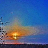 Декабрь...Самолет в небе на  закате солнца! :: Владимир 