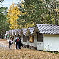 Сувенирные лавочки у Танцующего леса. :: Валерия Комова Сувенирные лавочки у Танцующего леса. :: Валерия Комова