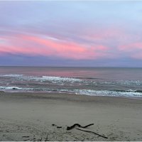 7.30. Розовый рассвет на Куршской косе. :: Валерия Комова