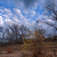 А осень тихо в зиму уходила, оставив яркий на прощанье след... :: Наталья Димова