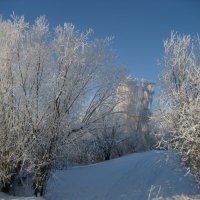 Хороший день :: Anna Ivanova Хороший день :: Anna Ivanova