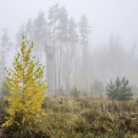 Словно мираж :: Валерий VRN Словно мираж :: Валерий VRN