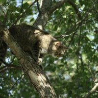 Случайный кадр :: Валентина 