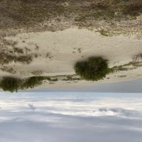 Дюны :: Ольга Савельева 