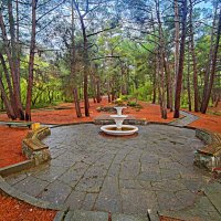 В парке санатория "Горный". :: Виктор Мухин