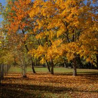 *** :: Геннадий Порохов