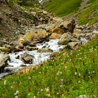 ГОРНЫЕ РУЧЬИ :: HART BAD