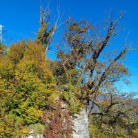 Адлер. Скайпарк :: Нина Бутко