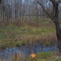 ***** :: юрий поляков