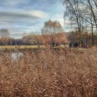 Ноябрь на Терлецких прудах :: Наталья Лакомова