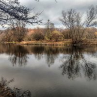 Ноябрь на Терлецких прудах :: Наталья Лакомова