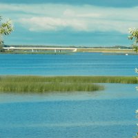 вид на трассу М-11 :: fogmeadowww m