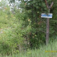 Дорога в лесу :: Екатерина Панова