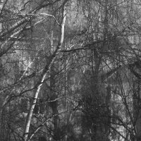 Очертания города :: Сергей Сергеев