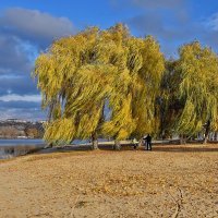 Деревья-часовые и... ветер! :: Валентина Нефёдова Деревья-часовые и... ветер! :: Валентина Нефёдова