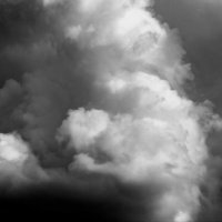 Чб :: Sergei Vikulov