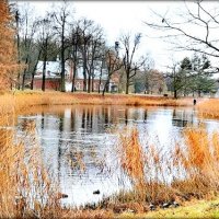 1-й Каскадный пруд :: Сергей 