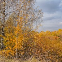 Палитра октября... :: Владимир Жданов Палитра октября... :: Владимир Жданов