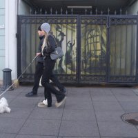 пара с собачкой :: zavitok *