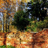 Осенний день :: Сергей Кочнев