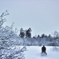 Декабрь...Зимний вечер в снежном царстве протоки Чеускина. :: Владимир 
