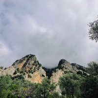 Две верзины :: Георгиевич 