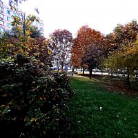 Осень. :: Владимир Драгунский Осень. :: Владимир Драгунский