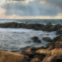 Воспоминания о лете. :: Владимир Владимир