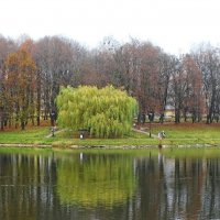 Город в ноябре. :: Милешкин Владимир Алексеевич Город в ноябре. :: Милешкин Владимир Алексеевич