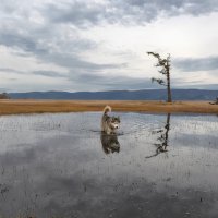 Ольхон :: Марина Фомина. Ольхон :: Марина Фомина.