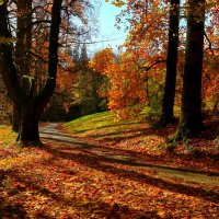 Разгулялась осень :: Юрий. Шмаков Разгулялась осень :: Юрий. Шмаков