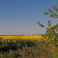 Вспоминая лето :: MILAV V