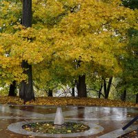 Осень в Царицыно :: Ольга 