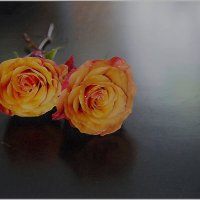 РОЗЫ... :: Elvira E. 