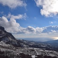 Природа Крыма :: Amazing Cosmea Природа Крыма :: Amazing Cosmea