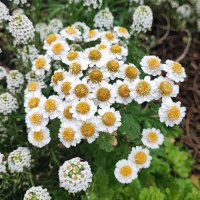 ,,, :: Сергей Тимоновский