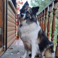 Ося :: Наталья 