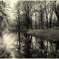 *** :: Aleksandr Gal