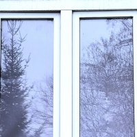 Утро четверга. :: Любимова Ольга 